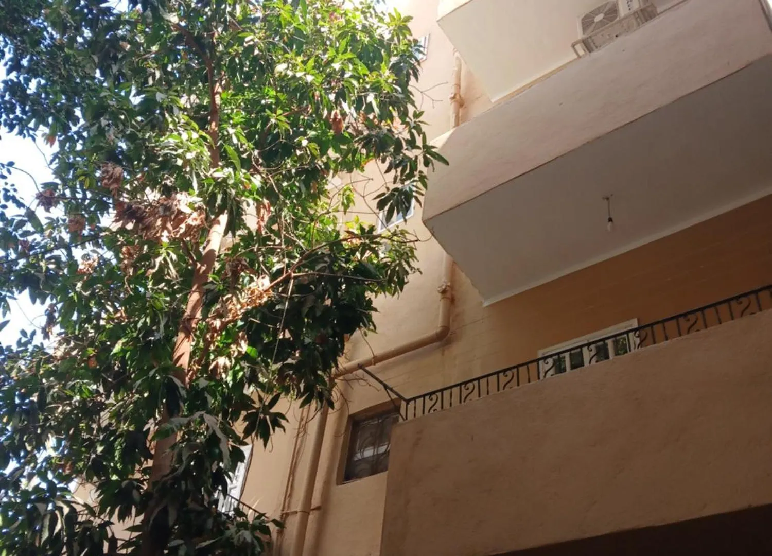 Guest house Egypt Amon Hotel Luxor